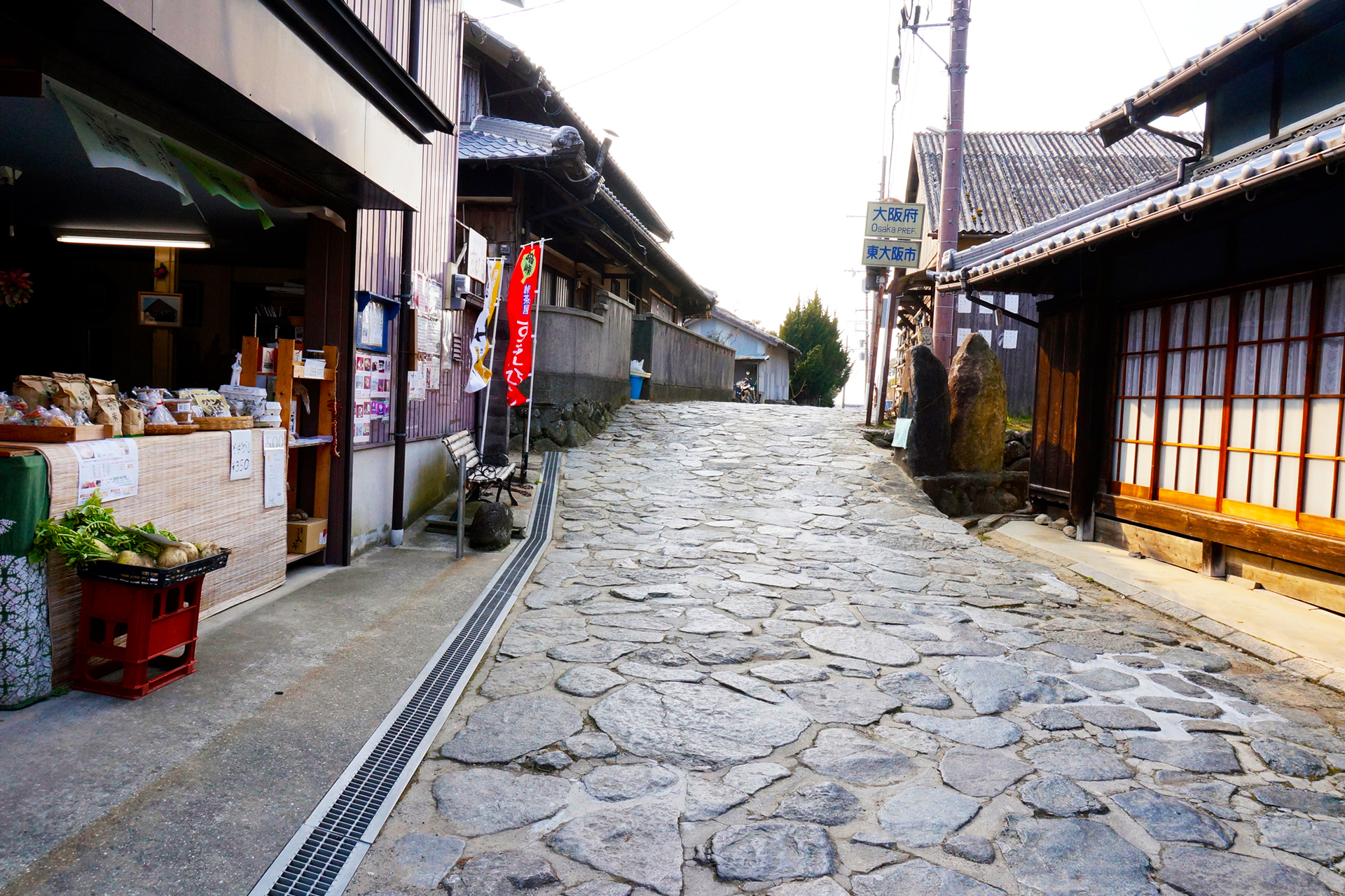 【Higashiosaka area】Hiking & Watching Rugby ～ Kyoto